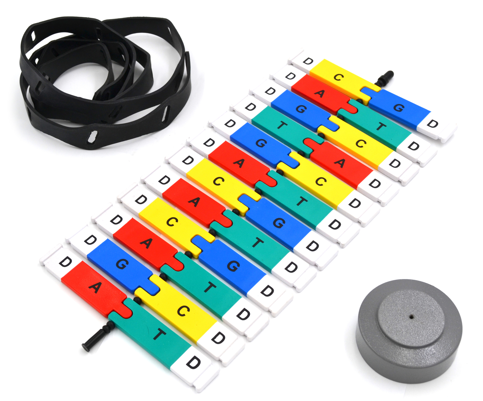 hBARSCI Freestanding DNA Model Kit