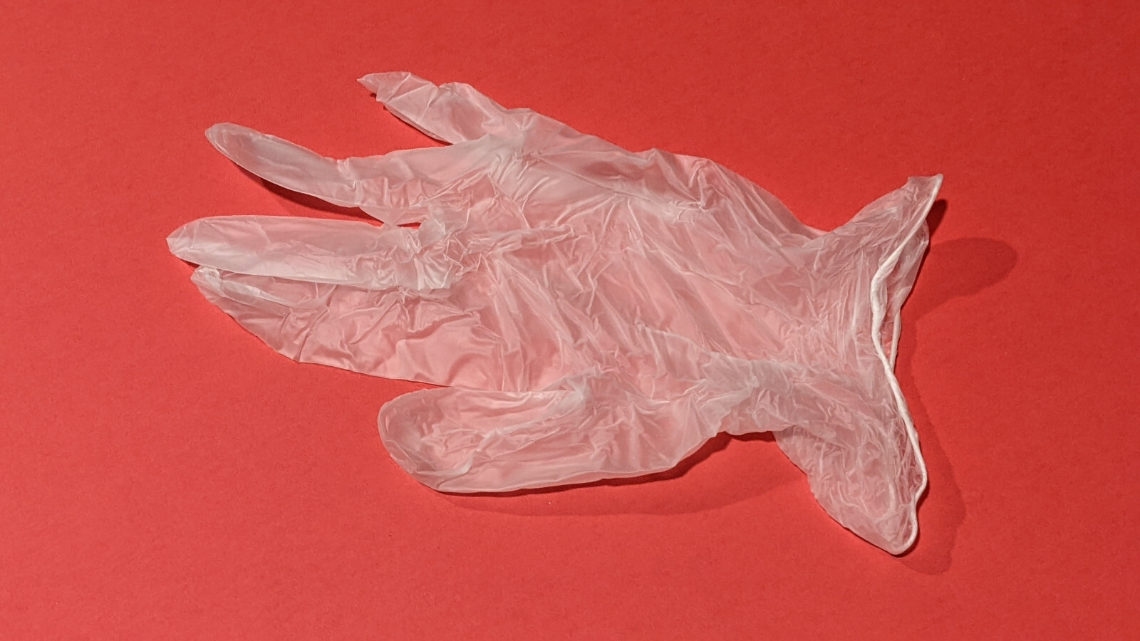 (4) Boxes 100 LARGE Disposable Clear Vinyl Gloves Powder & Latex Free