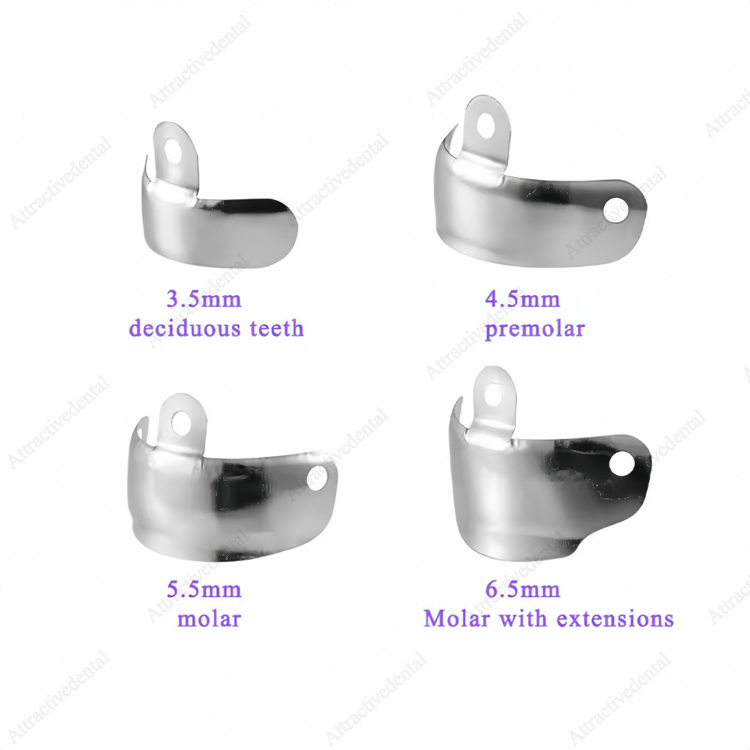 Dental Matrix Bands Ring Sectional Matrice Clamp Wedges Fit Palodent V3 System