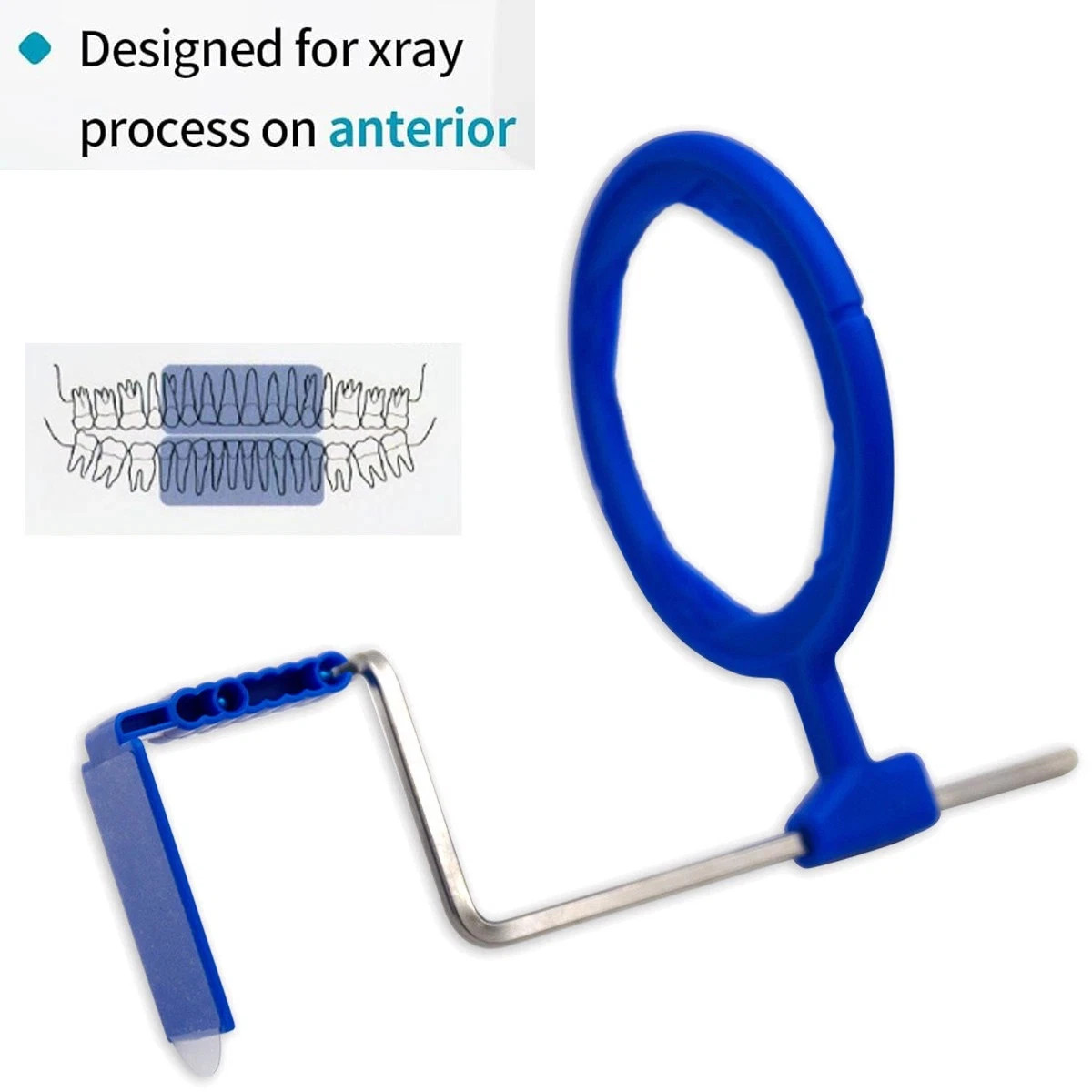 New 100pcs Dental Sensor Holder self-adhesive Blue X-Ray Positioning Anterior