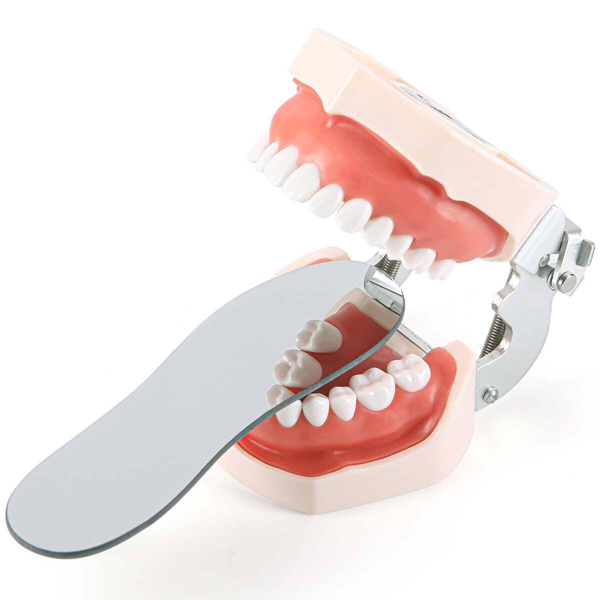 Dental Double-Sided Glass Photography Mirrors Ortho Intraoral Photo Reflector