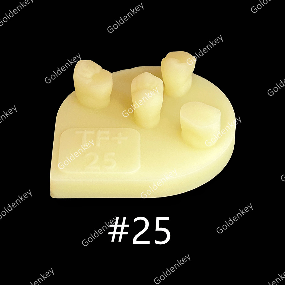 8pcs Dental Tooth Shape Practice Model Molar Resin Composites Filling US STOCK