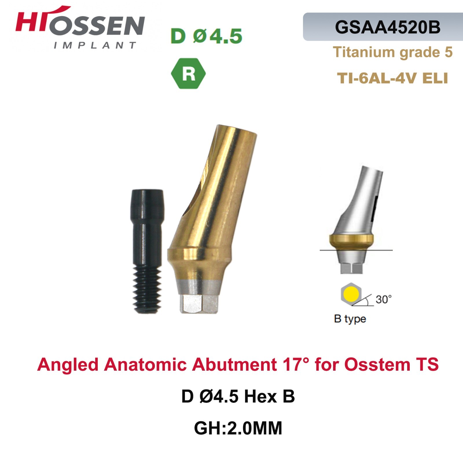 17° Angled Abutment Mini/Regular Hex Compatible with Osstem TS Implants Titanium