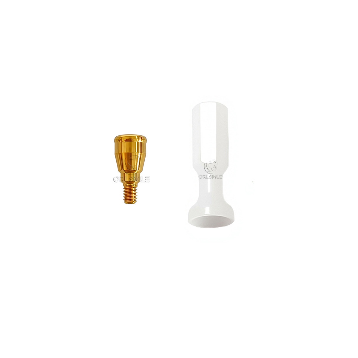 Locator attachment overdenture Only abutment fit to Astra (OsseoSpeed™ EV)-4.2