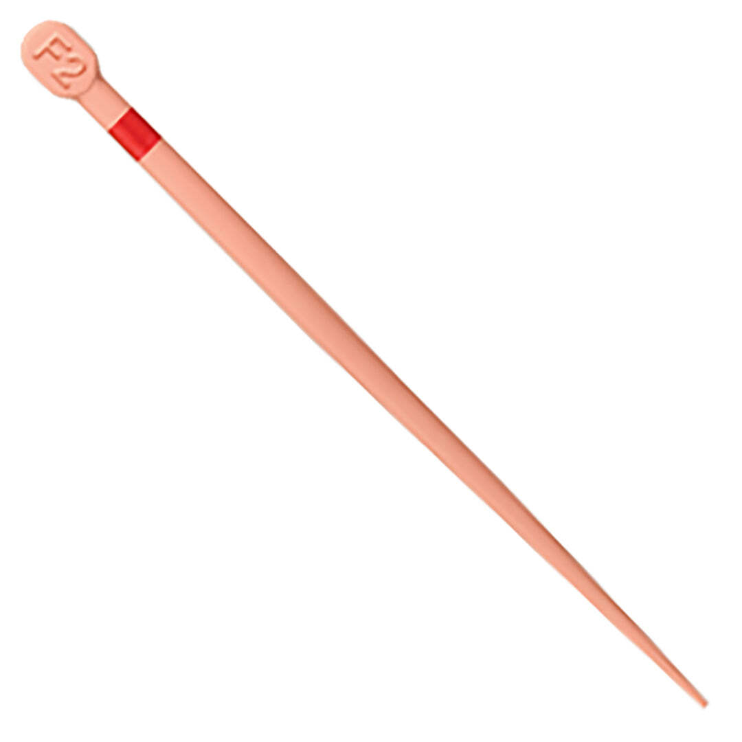 Dentsply B00PGGPF000F2 ProTaper Gold Conform Gutta Percha Points F2 60/Pk