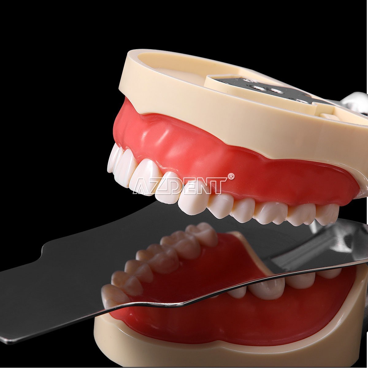 Dental Reciprocating Endo Files Niti Rotary Root Canal Heat Activated File 25mm