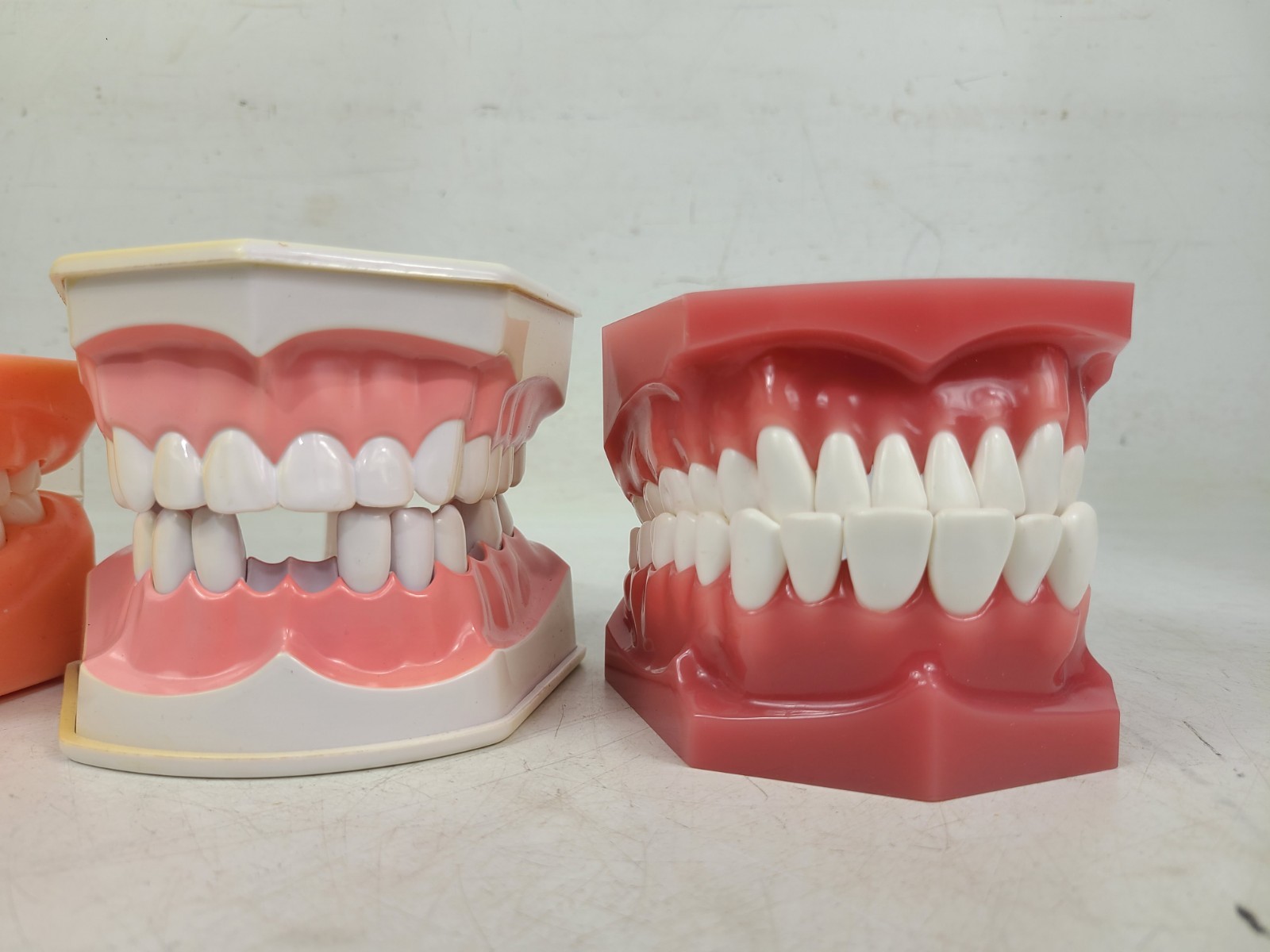 Colgate Teeth Model Display With Removable Teeth Training Aid Lot Of 3