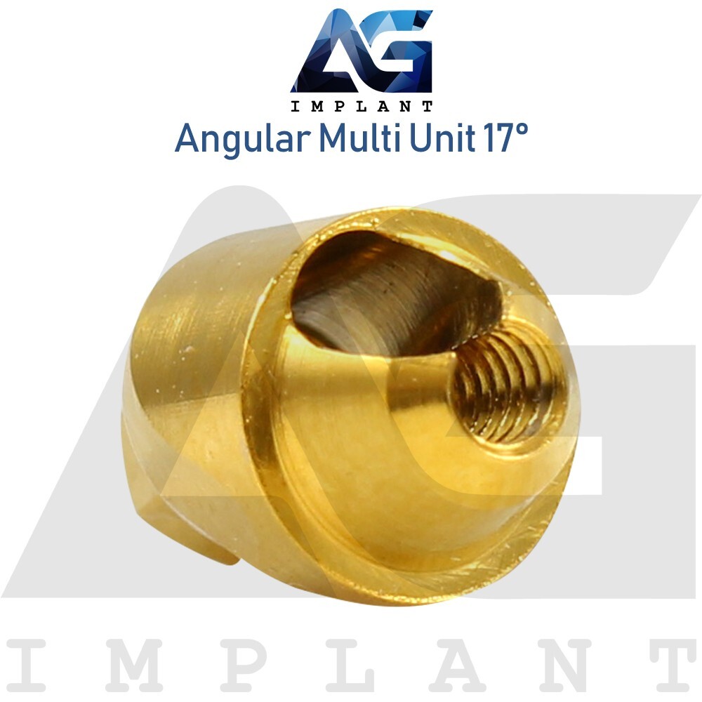 5 Angular Multi Unit 1.6 Abtments 17° and Titanium Sleeve With Screw