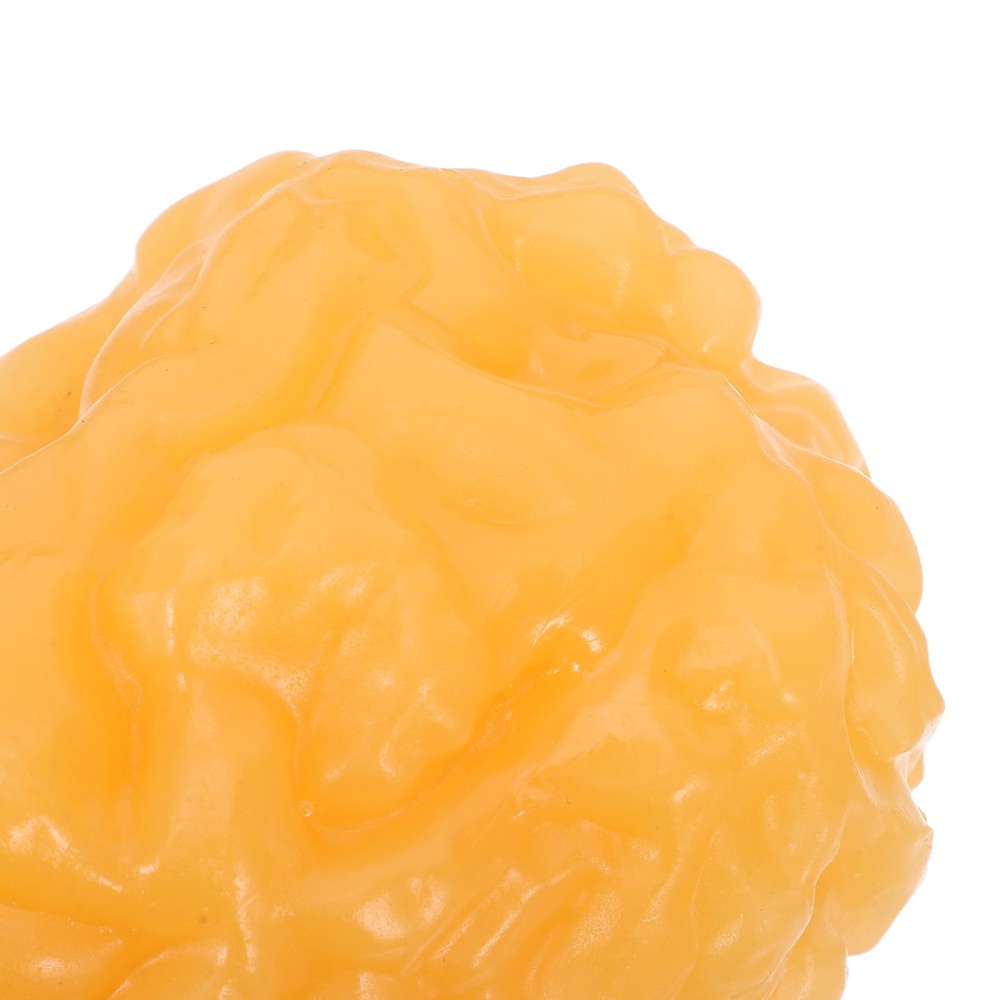 Human Body Fat Model Display Tool Tissue