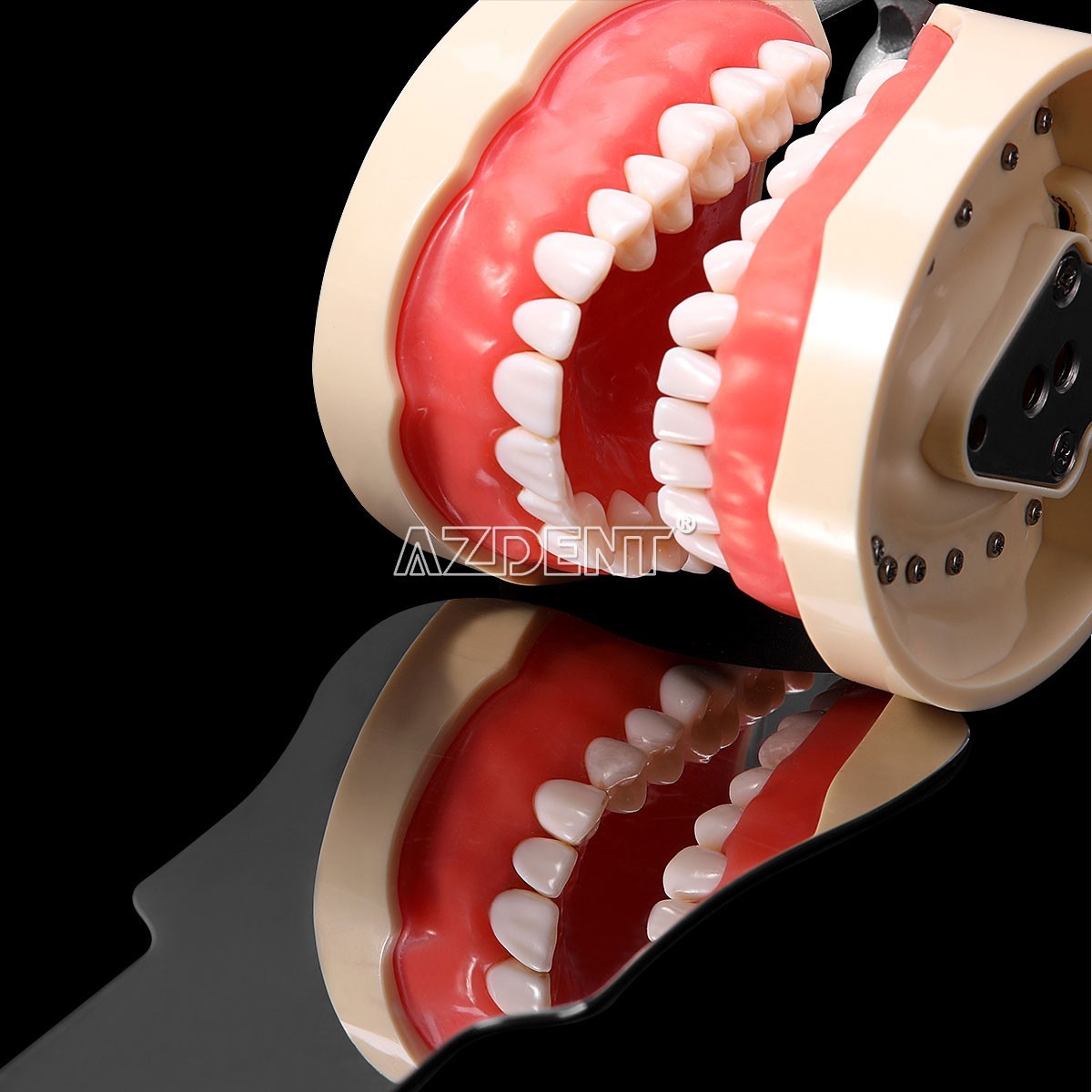 Dental Reciprocating Endo Files Niti Rotary Root Canal Heat Activated File 25mm