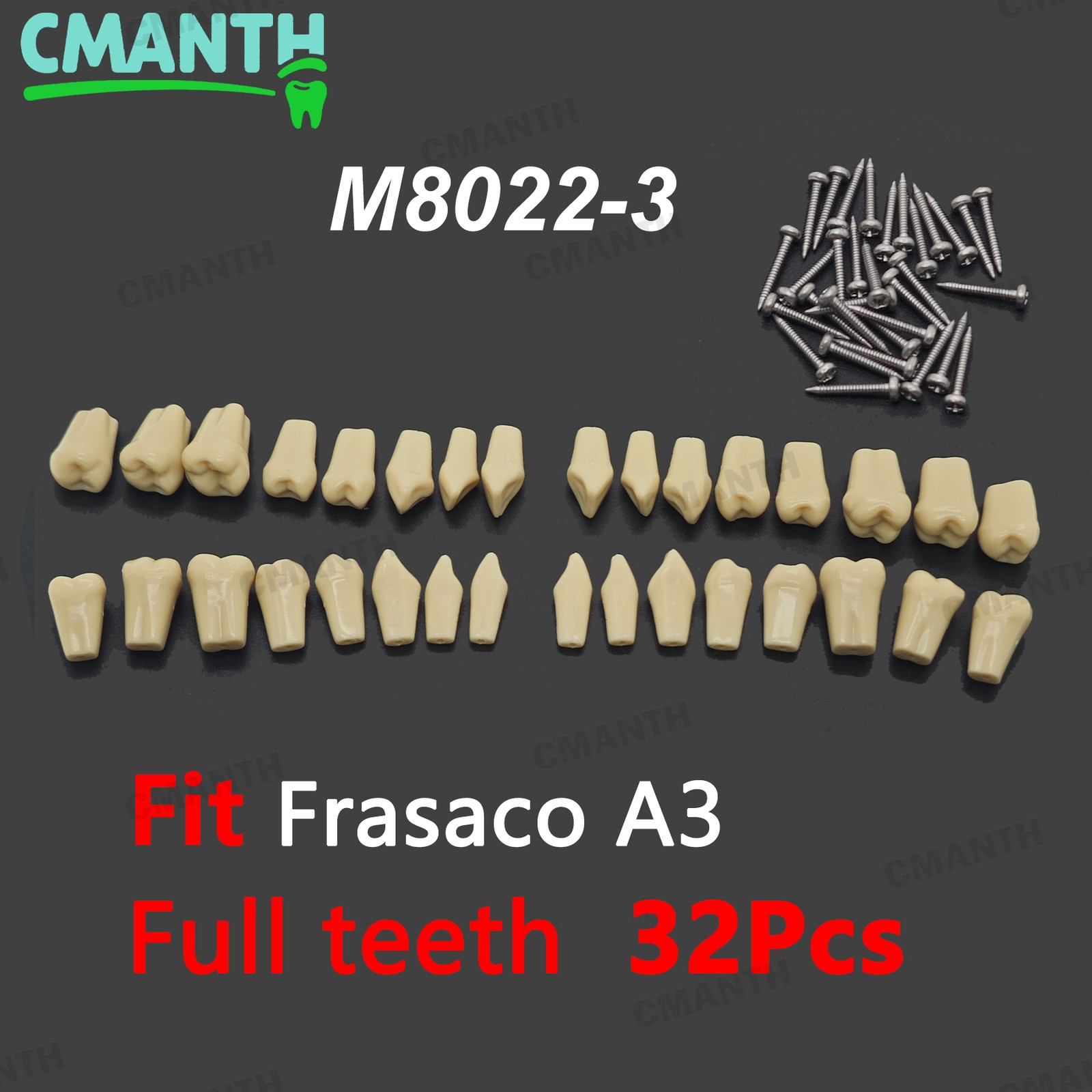 Dental Frasaco A3 Type Full Teeth 32Pcs/10Pcs Screw-in Practice Teeth Demo Model