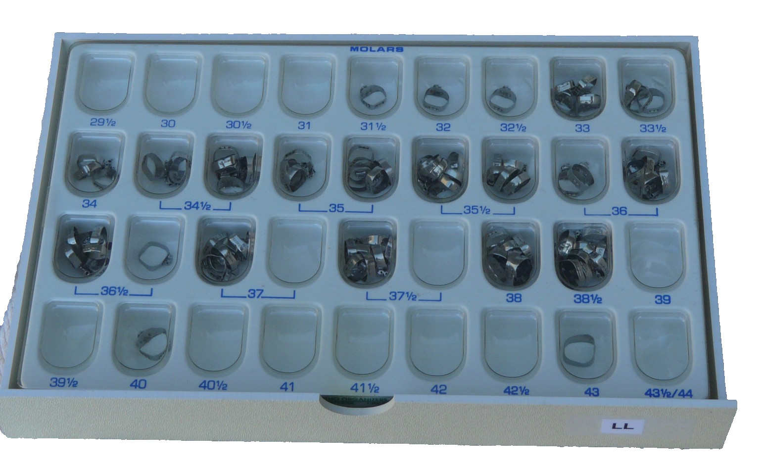 molar bands