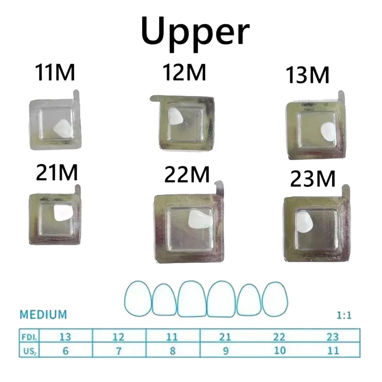 Dental Composite Upper/Lower Resin Light Cure Anterior Teeth Front Teeth Veneers