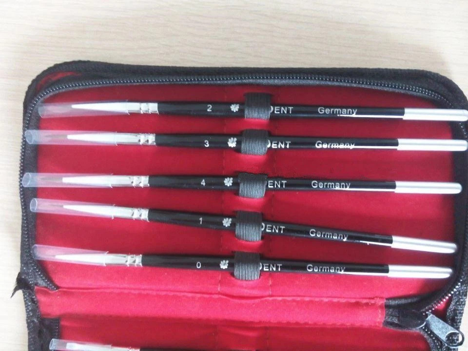 10pcs/set Dental Lab Porcelain Synthetic Brush Pen Set Equipment Well packed