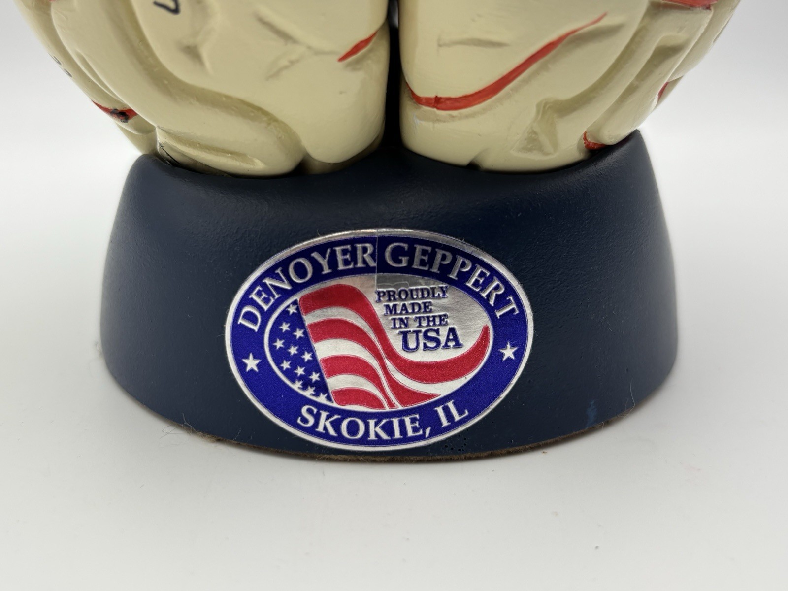Denoyer Geppert Deluxe 8 Part Life-Size Brain With Arteries Anatomy Model