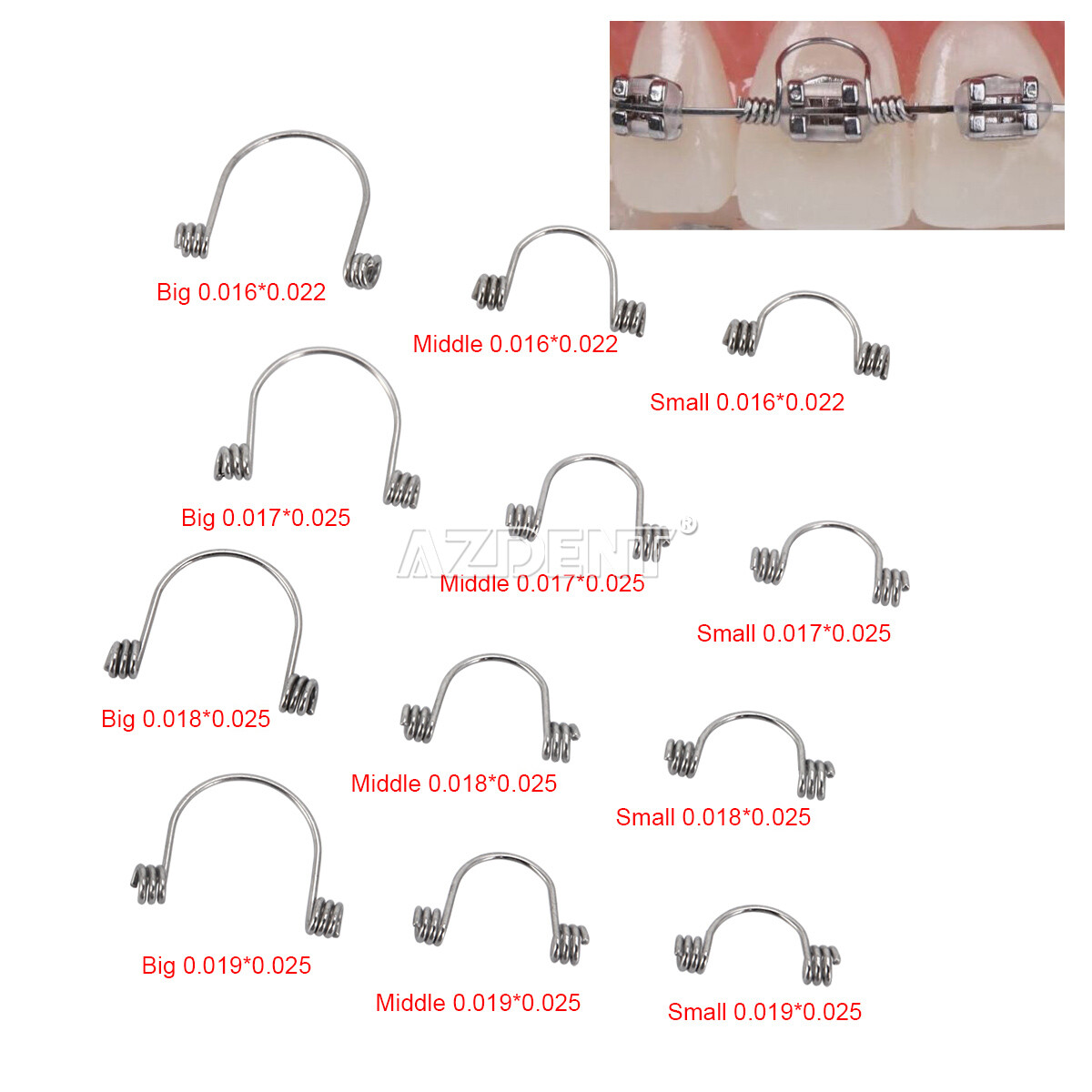 1 Pack Dental Orthodontic Anterior Teeth Torque Rectangular Springs 12 Size