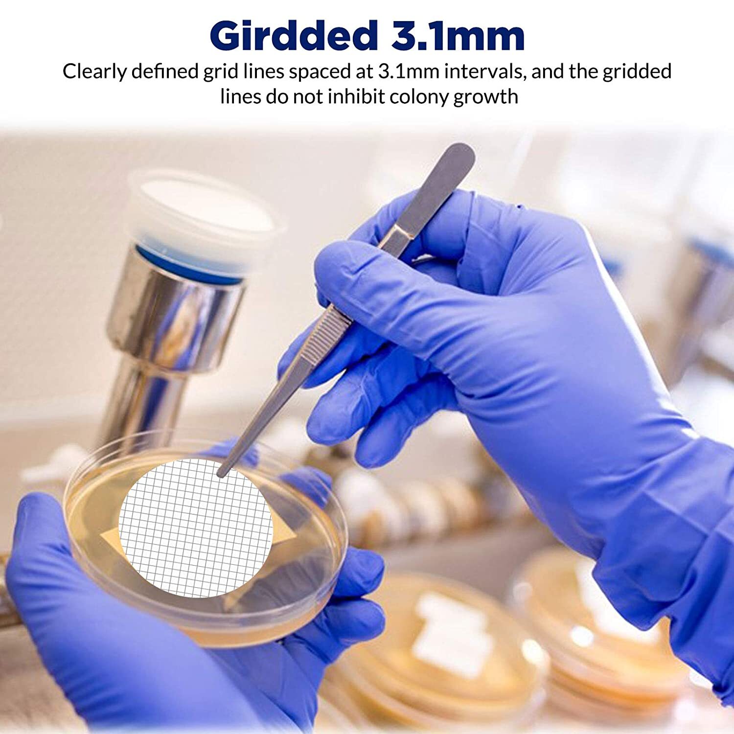 1000PCS MCE Gridded Membrane Filter 0.45 µm 47mm Environmental Express Filter US
