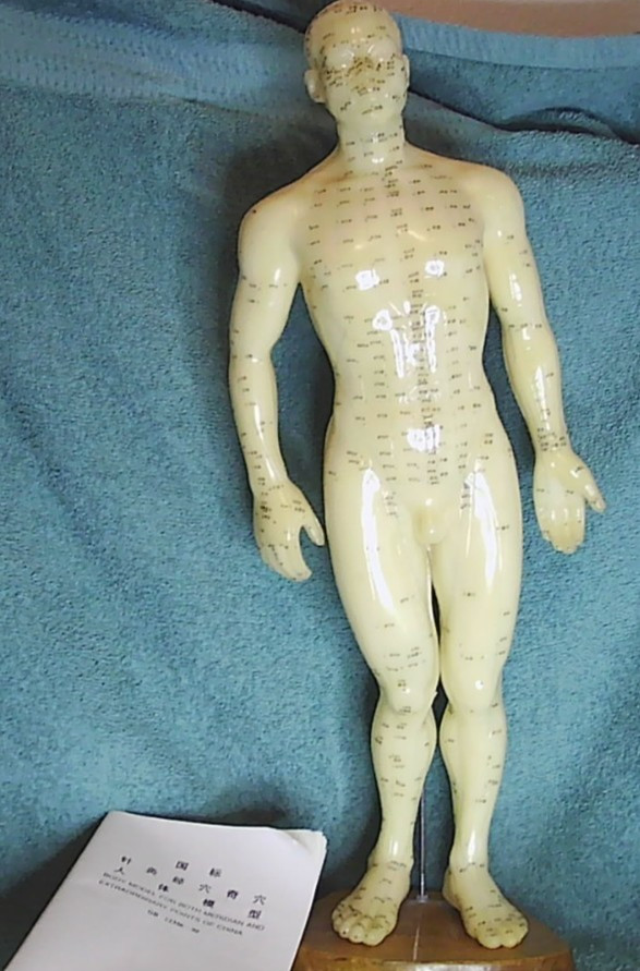 Vintage Chinese Acupuncture Model ~Nude male sculpture~ Science Biology 20″ tall