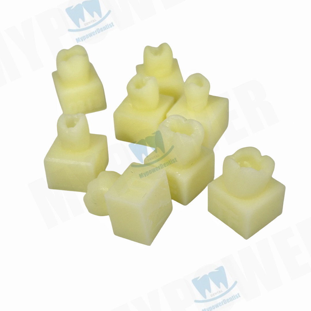 Dental Composite Resin Filling Dentist Student Test Model Teeth Practise Model