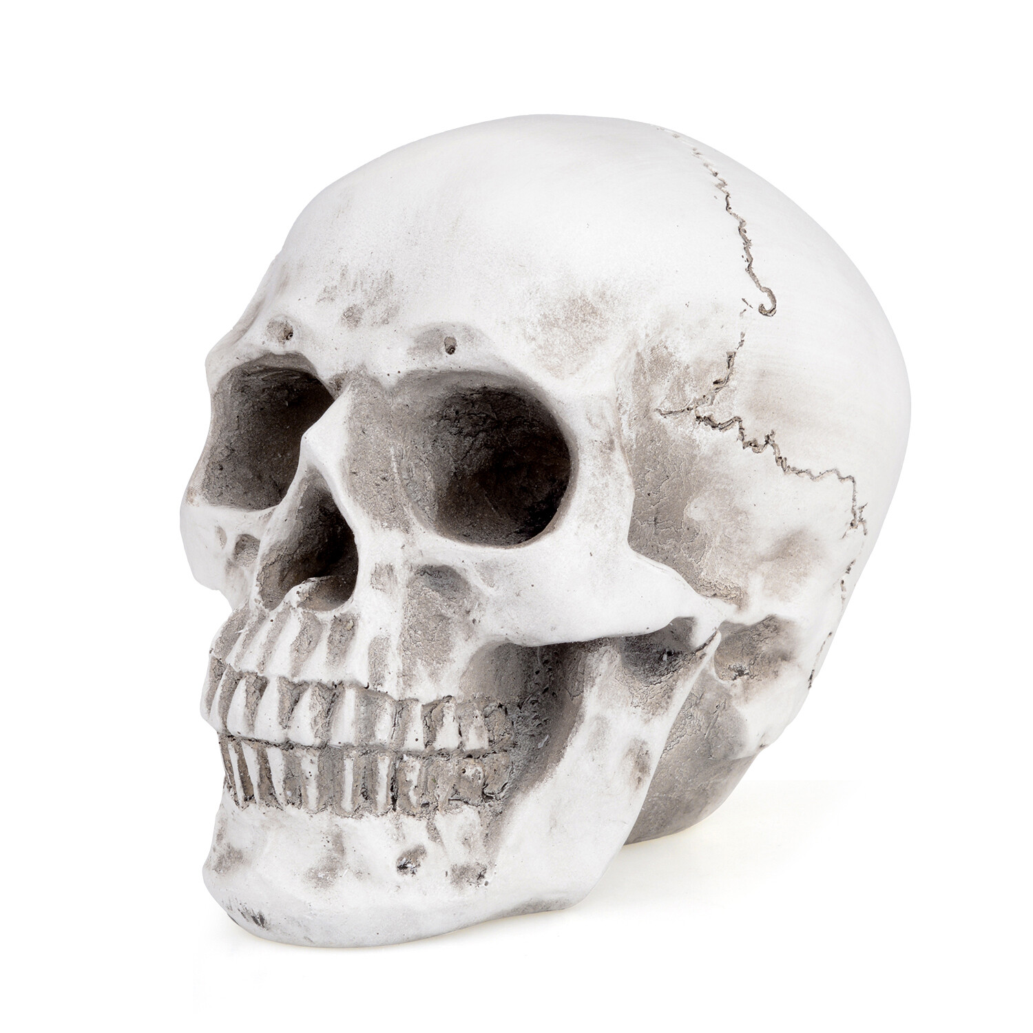 1:1 Retro Human Skull Replica Resin Anatomical Model Medical Life Size Realistic