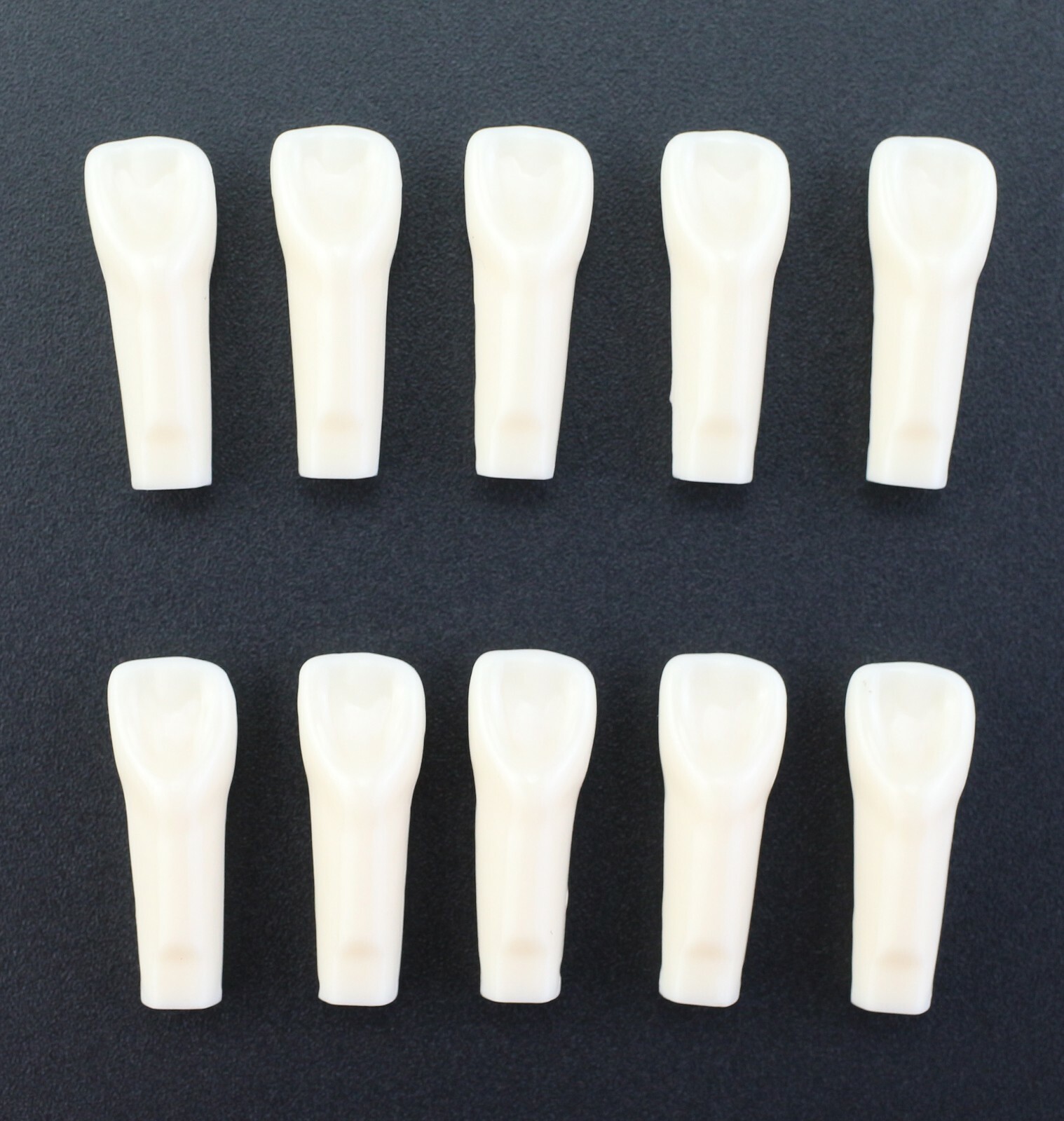 Dental Typodont Individual Replacement Teeth 10pcs/Lot Kilgore Nissin 200 Fit