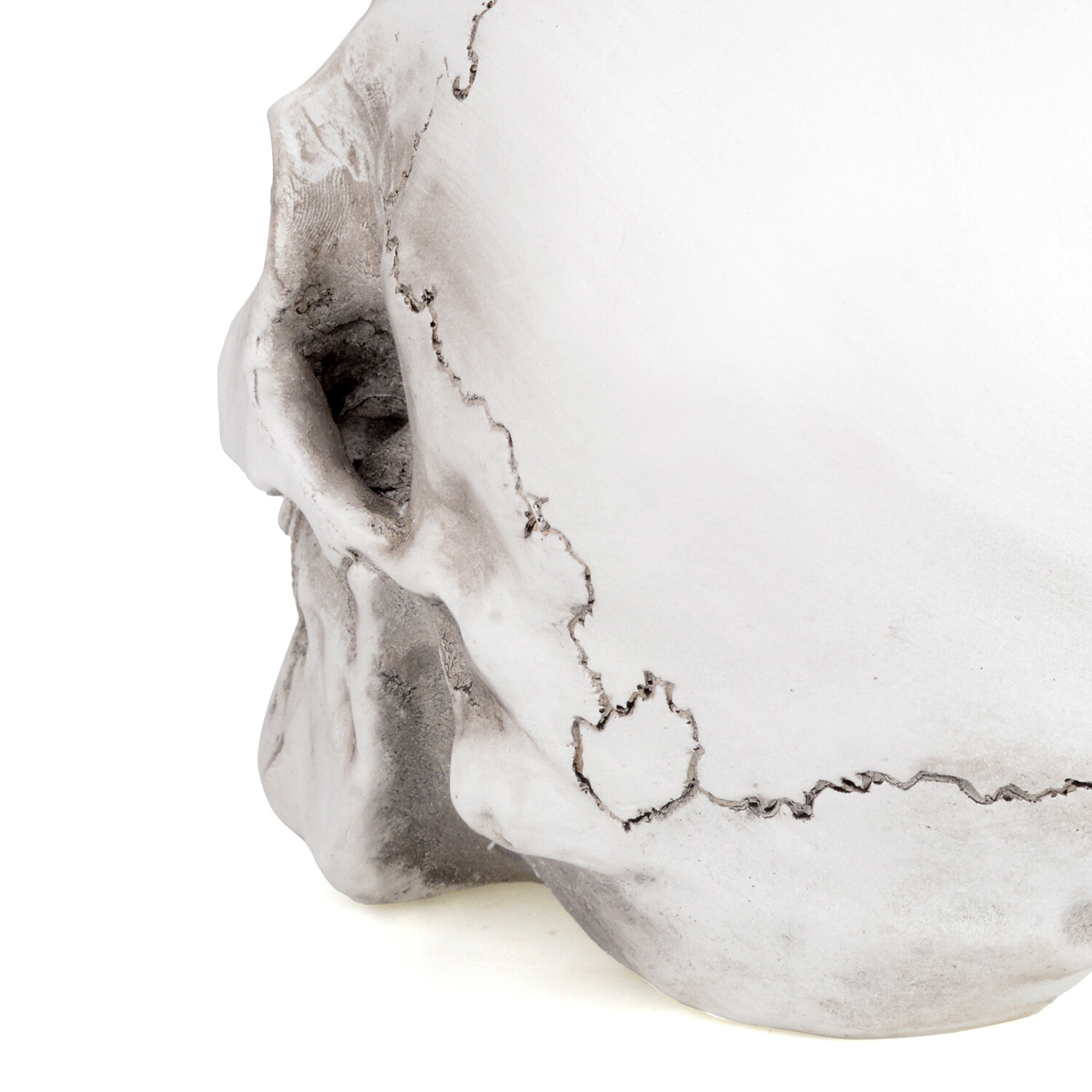 Retro Human Skull Replica Resin Anatomical Model Medical Life Size Realistic 1:1