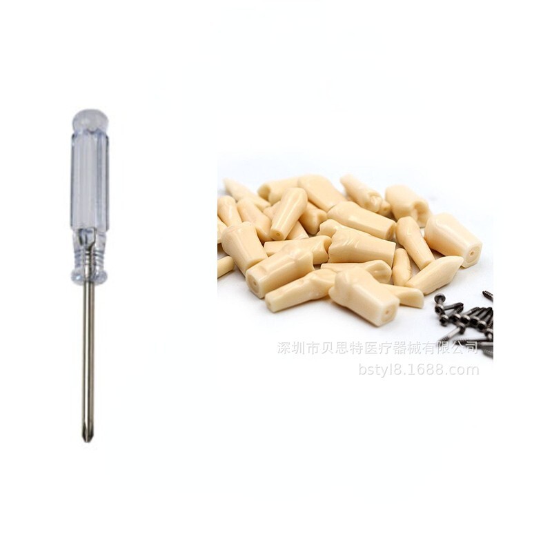 Dental Practice Typodont Teeth Model Removable Teeth 28 pcs Kilgore Nissin 200