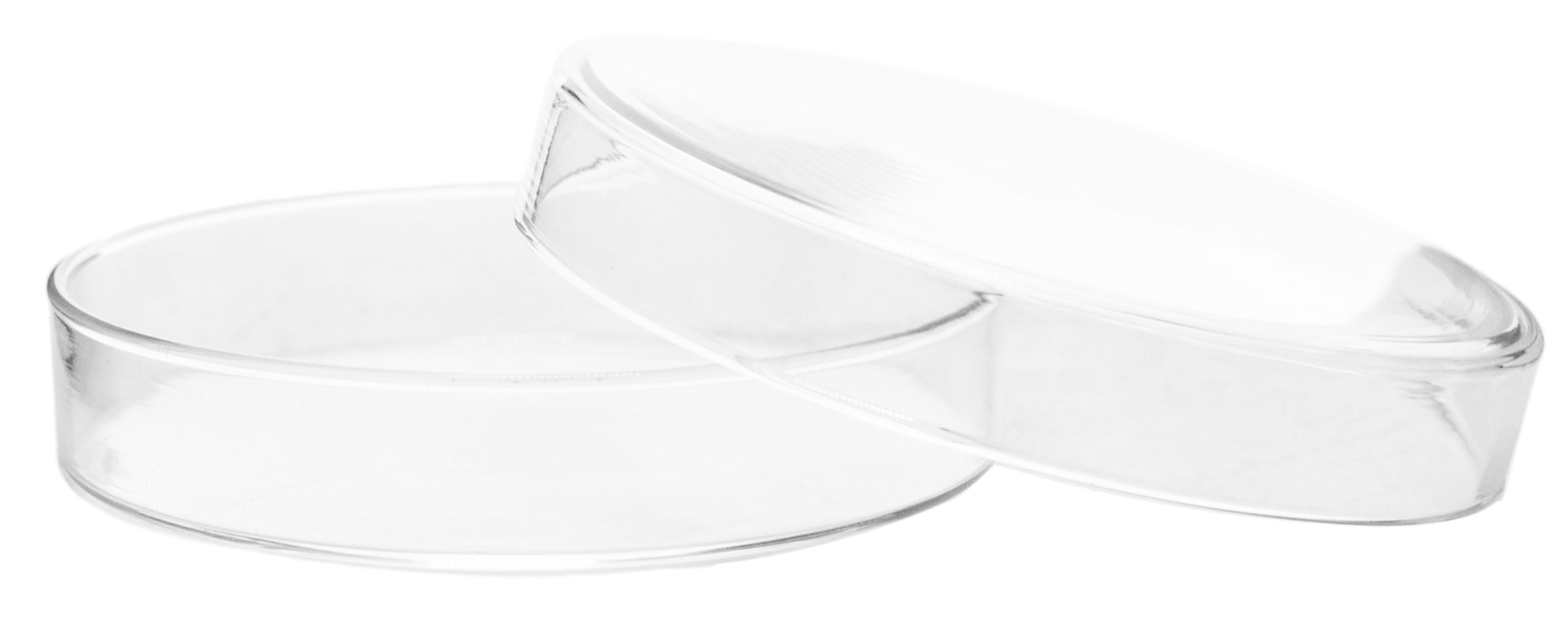 Eisco Labs Petri Dish, 90mm Diameter, 15mm Depth – Soda Lime Glass