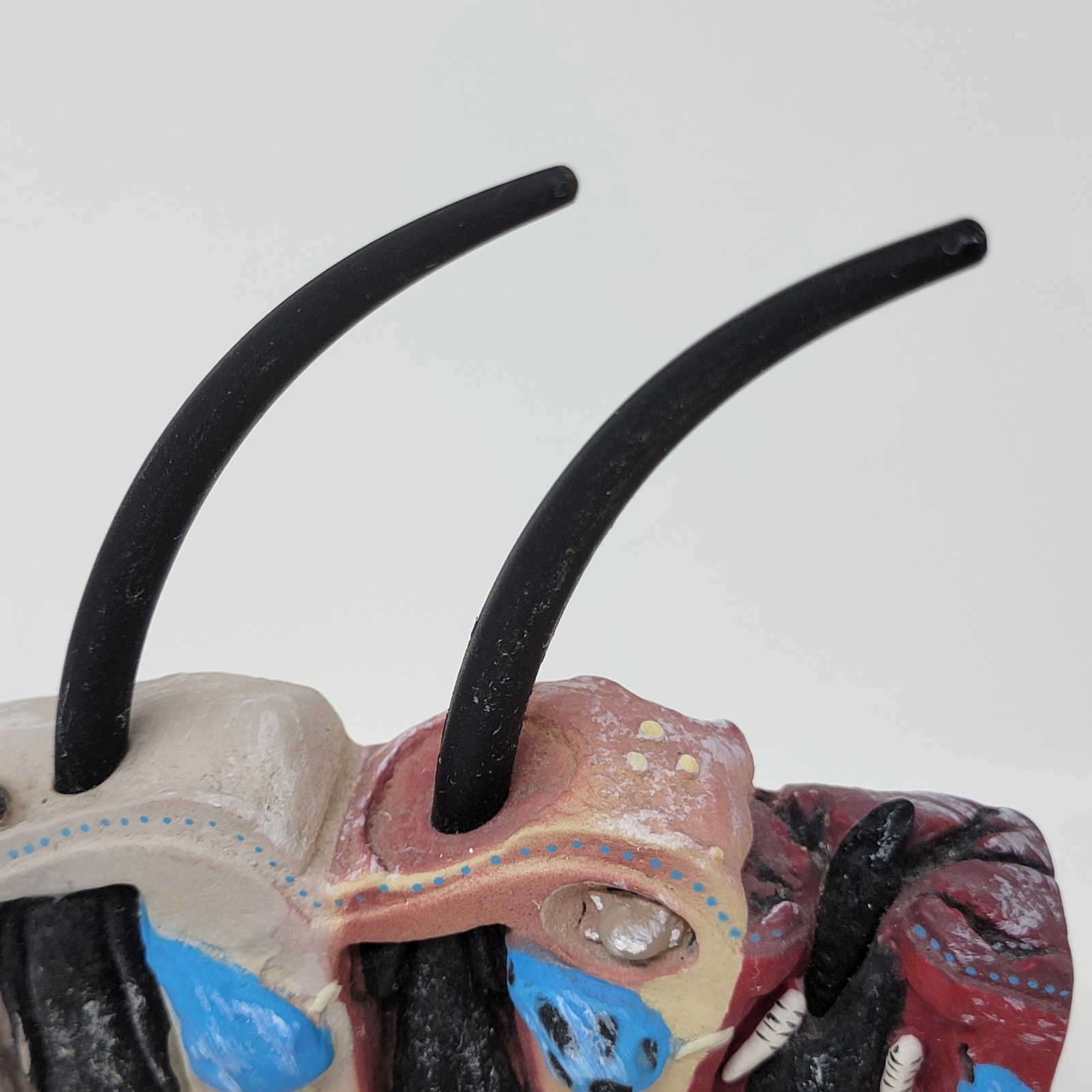 Banfield Veterinary Plastic Anatomical Model for Education – Canine Skin