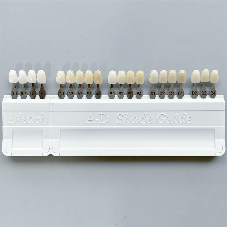 Dental Teeth Shade Guide Porcelain Ivoclar 20Color A-D Tooth 4 Bleach Vivadent