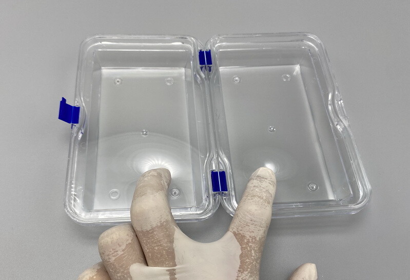 Plastic Dental Box Denture Storage Box with Membrane Hinge Display Jewelry Boxes