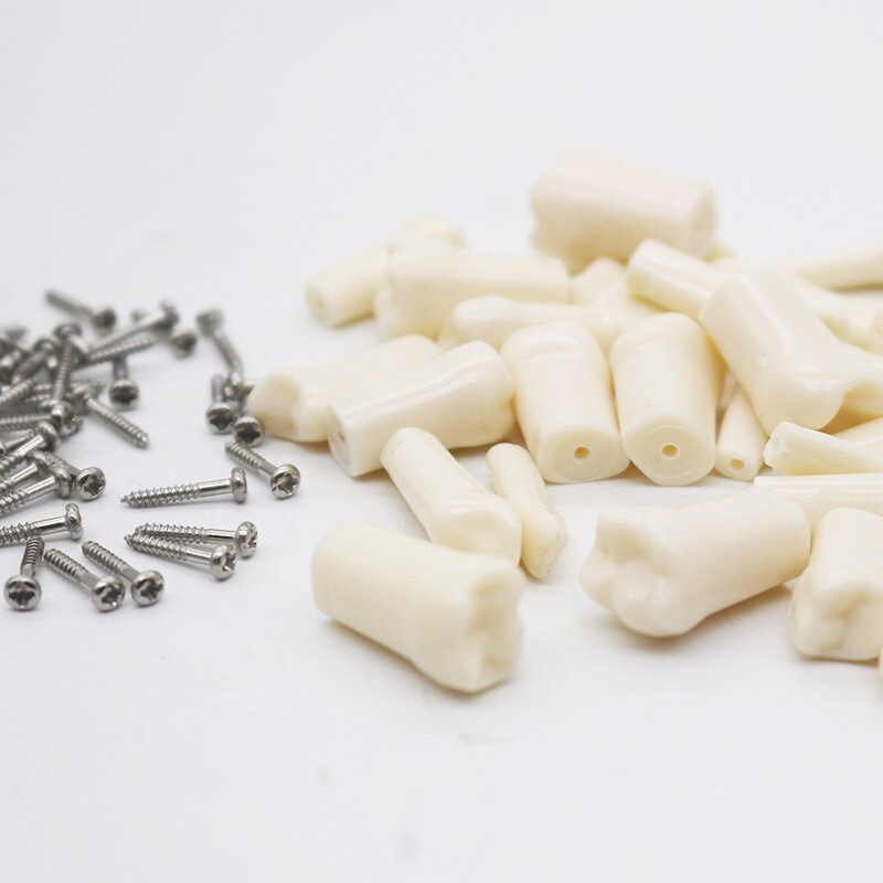 Dental Practice Typodont Teeth Model Removable Teeth 28 pcs Kilgore Nissin 200
