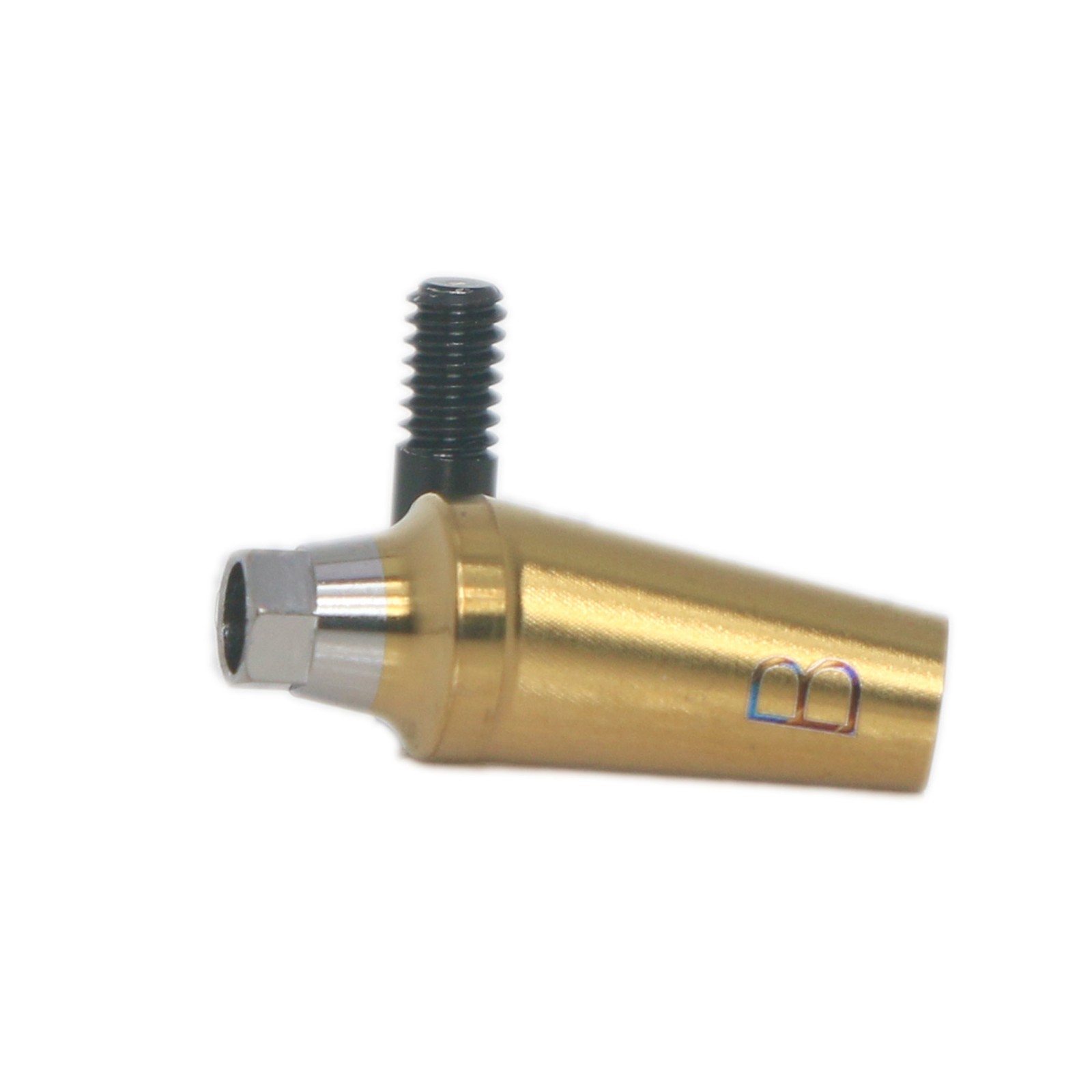 US Dental 17° Angled Anatomic Abutment Regular Ø4.5/5.0mm Fit Hiossen Osstem TS