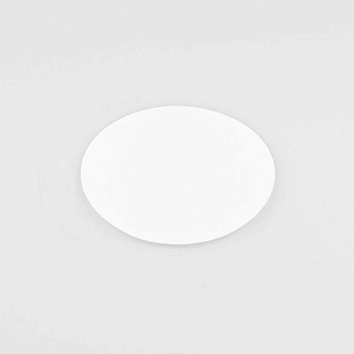 GVS Filter Technology, Filter Disc, NY Membrane, 0.45µm, 47mm, 100/pk