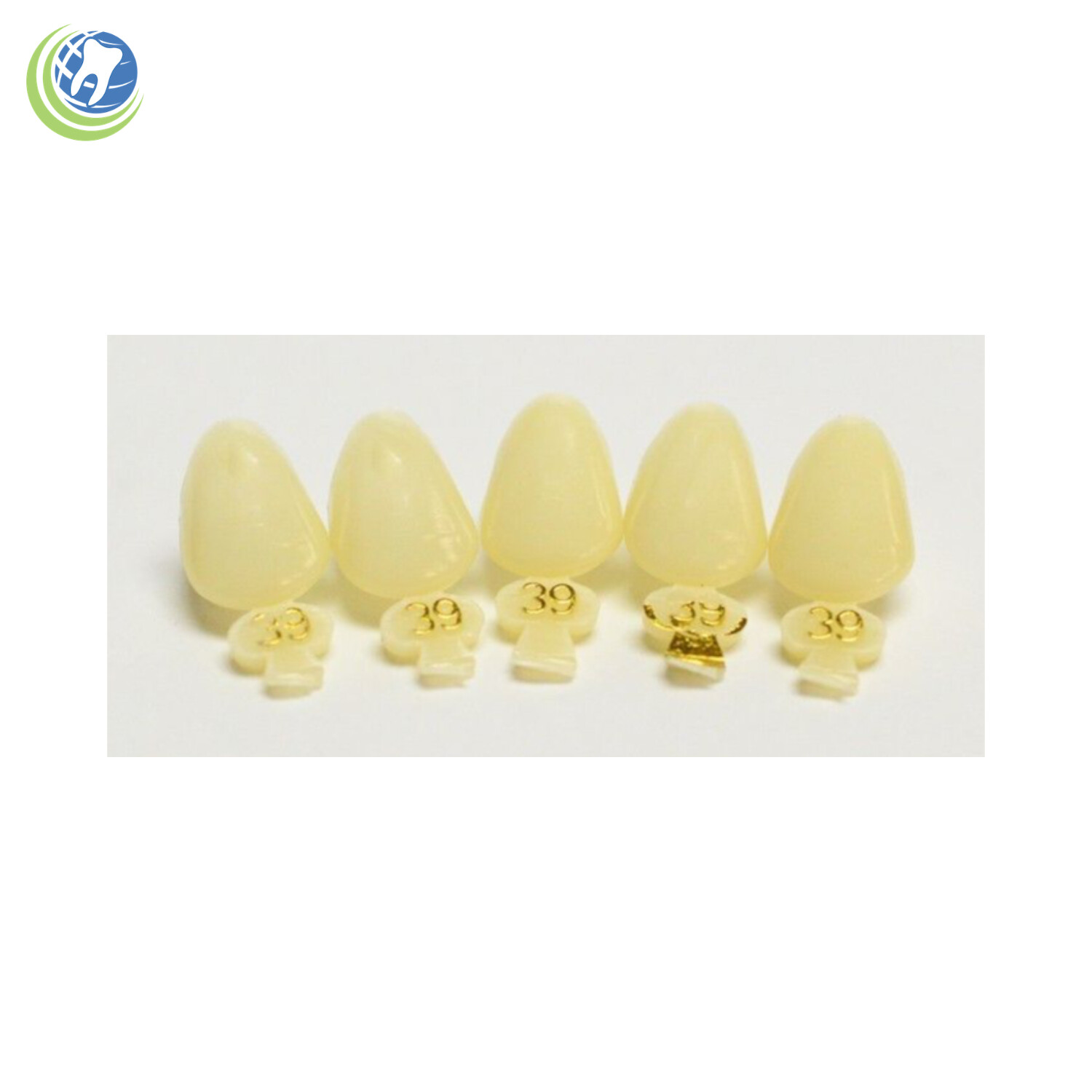 Tooth #11 & #22 Tooth Upper or Lower Left Cuspid Polycarbonate Crowns Cap Refill