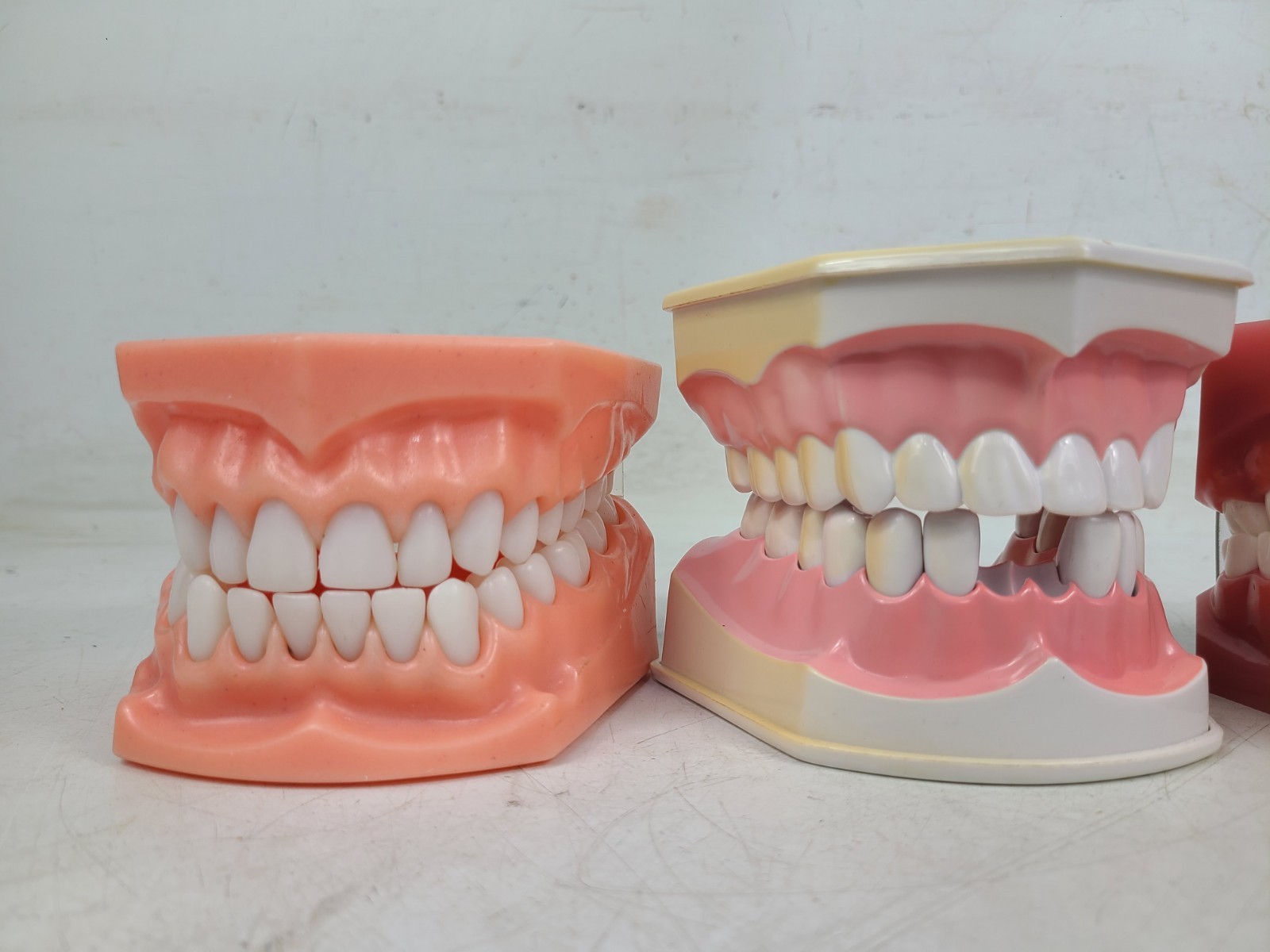 Colgate Teeth Model Display With Removable Teeth Training Aid Lot Of 3