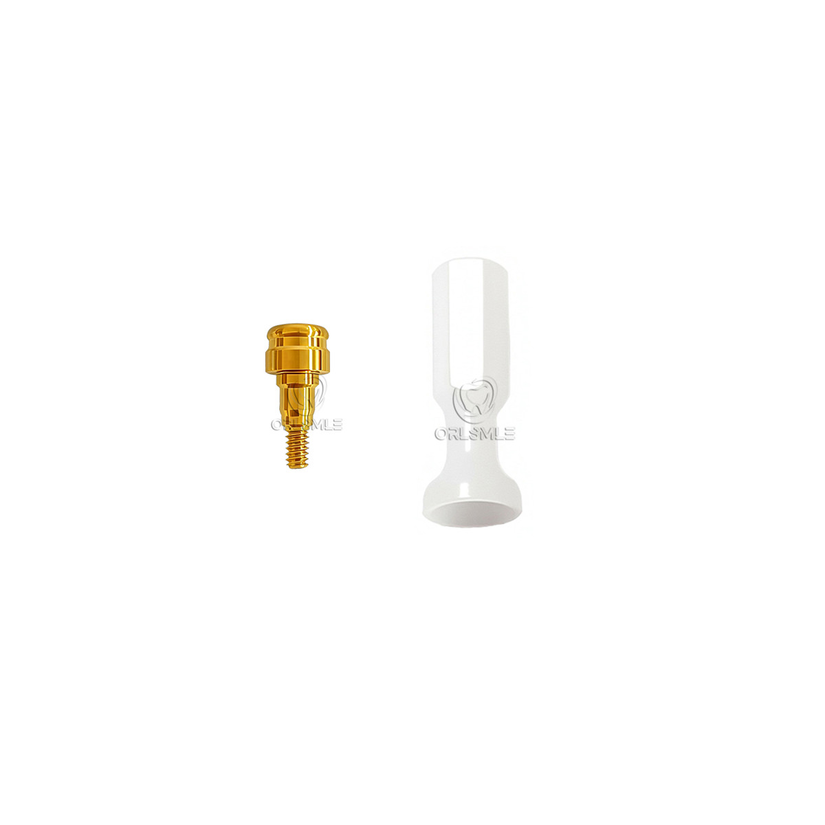 Locator attachment overdenture Only abutment fit to 3i (Certain)-4.0 GH1-6