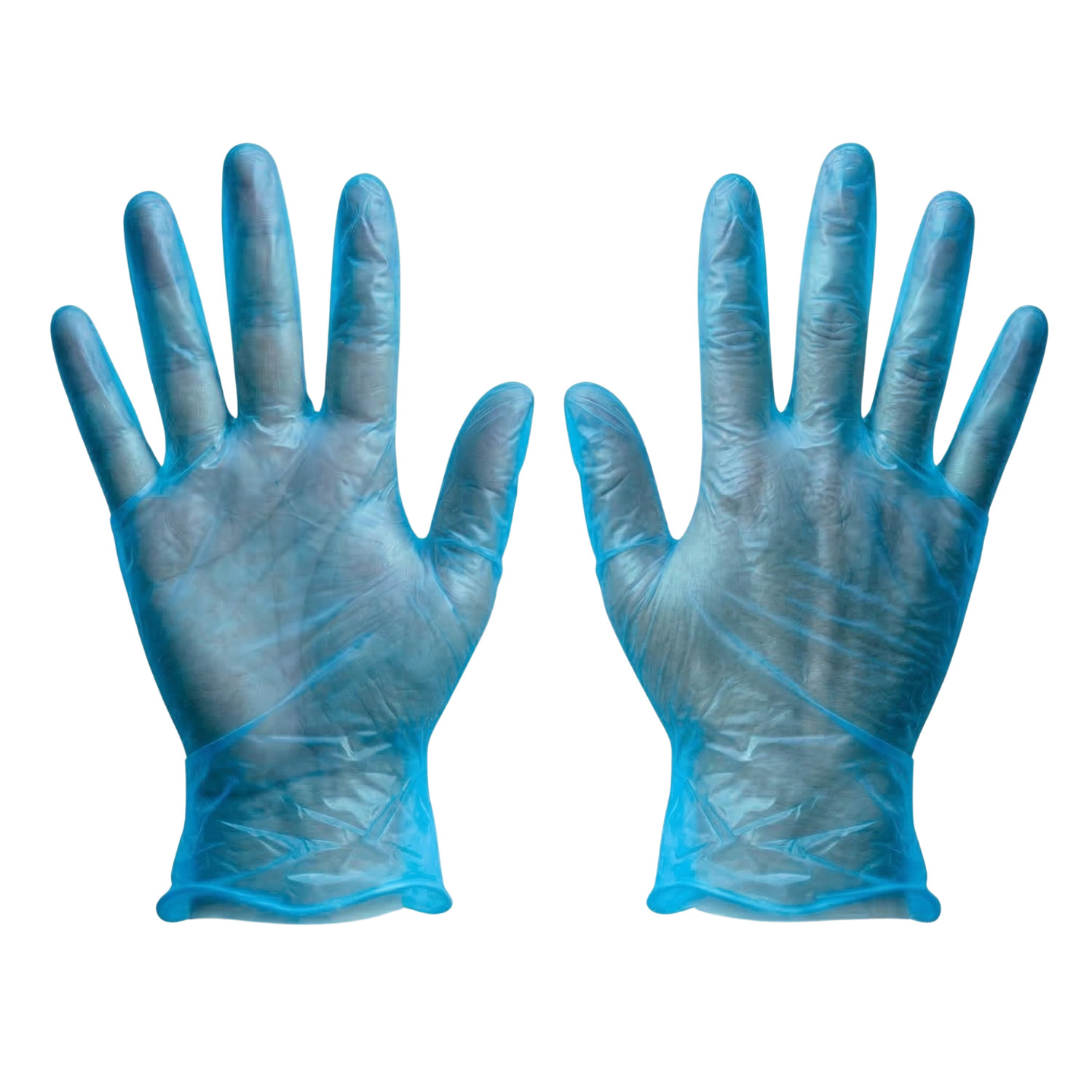 5 MIL Powder Free Non-Latex Vinyl Disposable Gloves, Blue,X-Large, 2000 Pairs