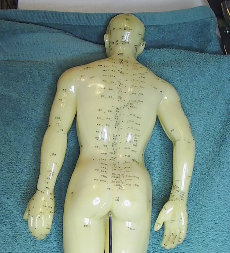 Vintage Chinese Acupuncture Model ~Nude male sculpture~ Science Biology 20″ tall