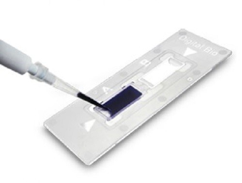 C-Chip Disposable Hemocytometer, Burker Turk (BT), 50pcs/Box, 100 Tests