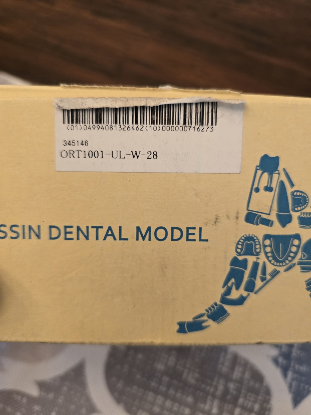 DENTAL Tooth ORTHODONTIC MODEL W/ BRACKETS & WIRE KILGORE NISSIN ORT1001 DN3-X