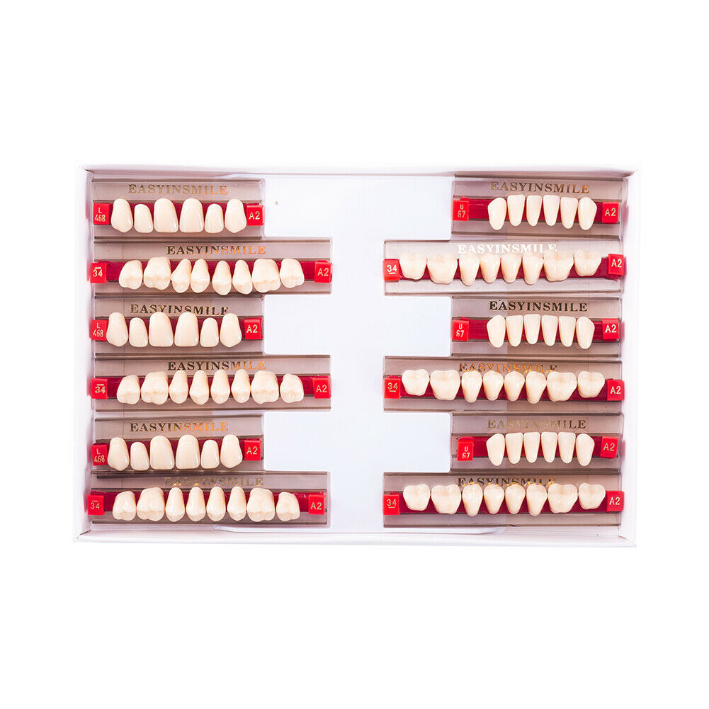 Dental Denture Acrylic Resin Teeth Upper Lower Anterior/Posterior Shade A1/A2/A3