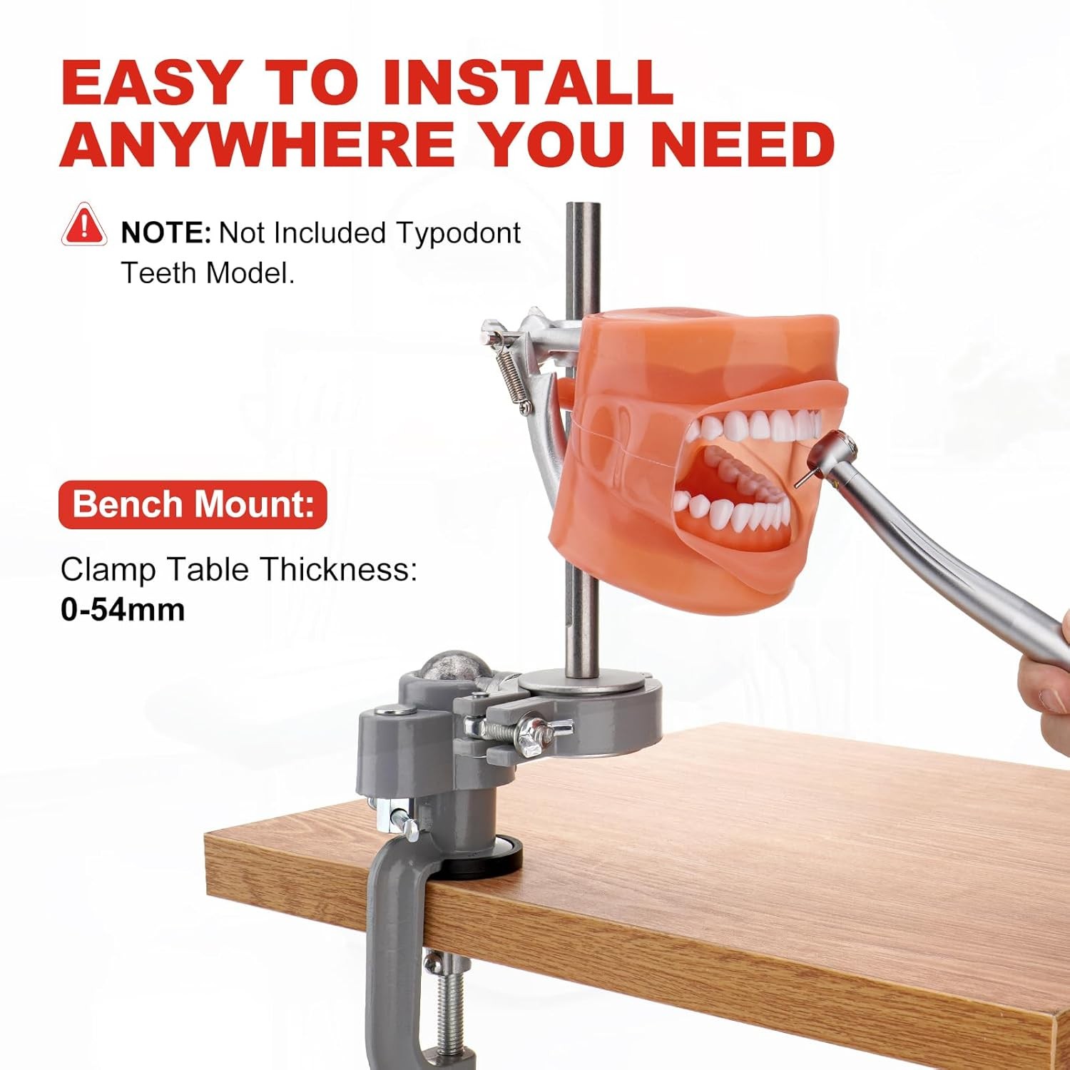 US Dental Typodont Mounting Pole For Kilgore Nissin Columbia Frasaco Teeth Model