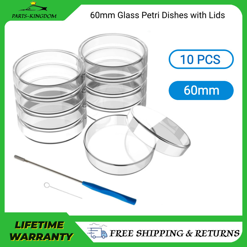 60mm High Borosilicate Glass Petri Dishes with Lids 10 Pack Petri Plates