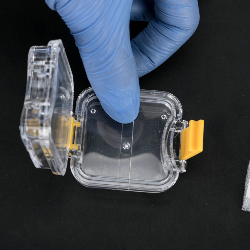 Plastic Dental Box Denture Storage Box with Membrane Hinge Display Jewelry Boxes