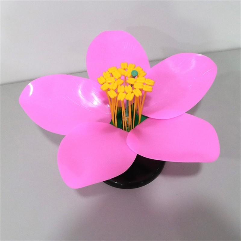 Detachable Plastic Peach Blossom Model Suitable for Detailed Study