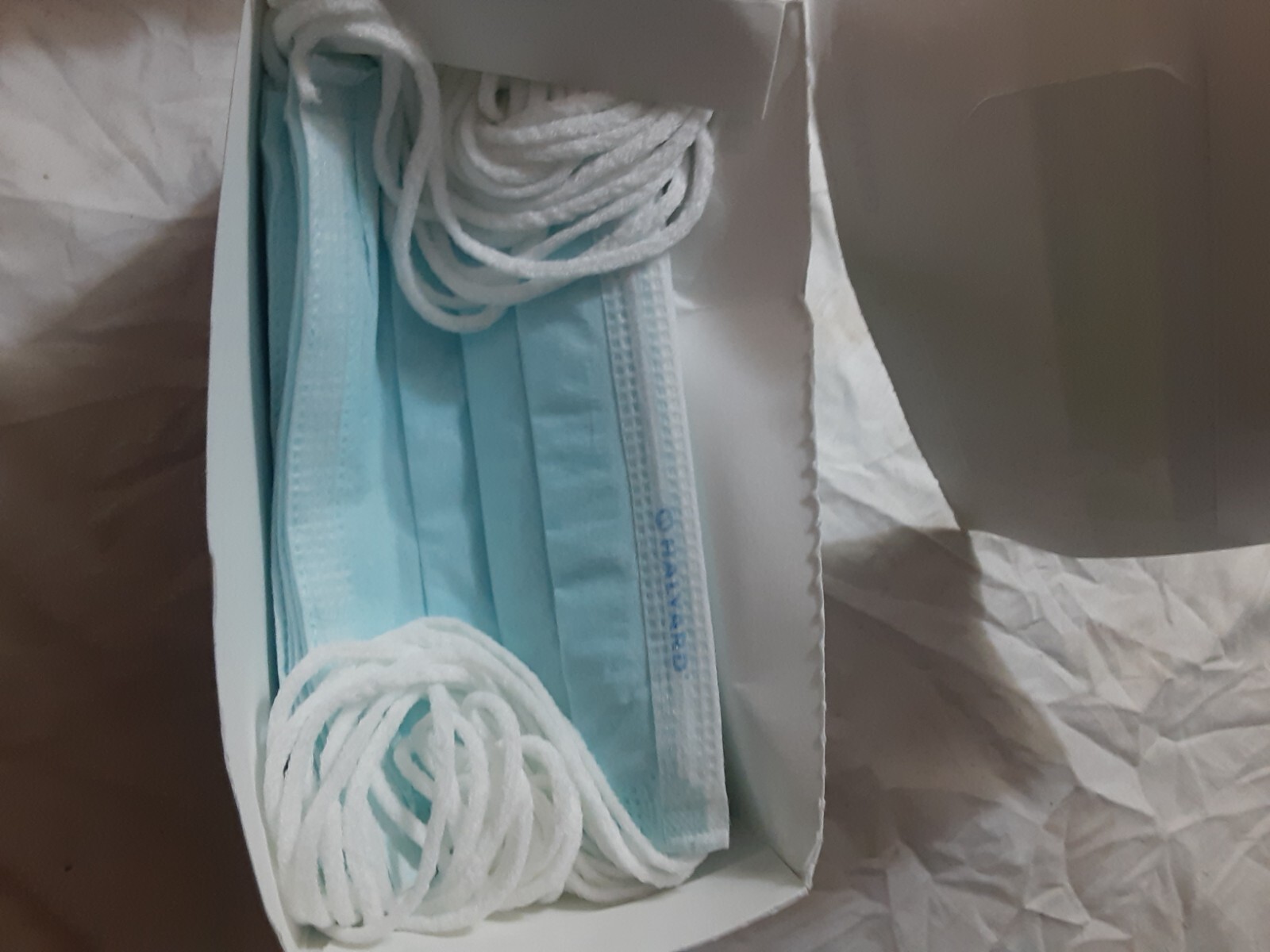 Halyard Procedure Face Masks With So Soft Earloops – Box of 50 OPENED