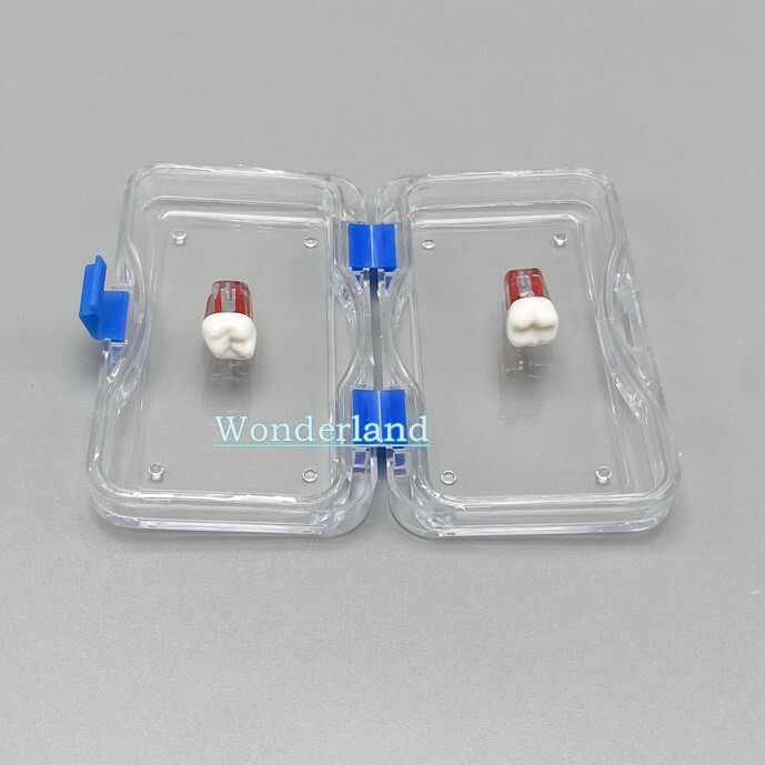 10X Dental Storage Box Veneer Boxes Membrane Jewelry Holder Crowns Cases USA