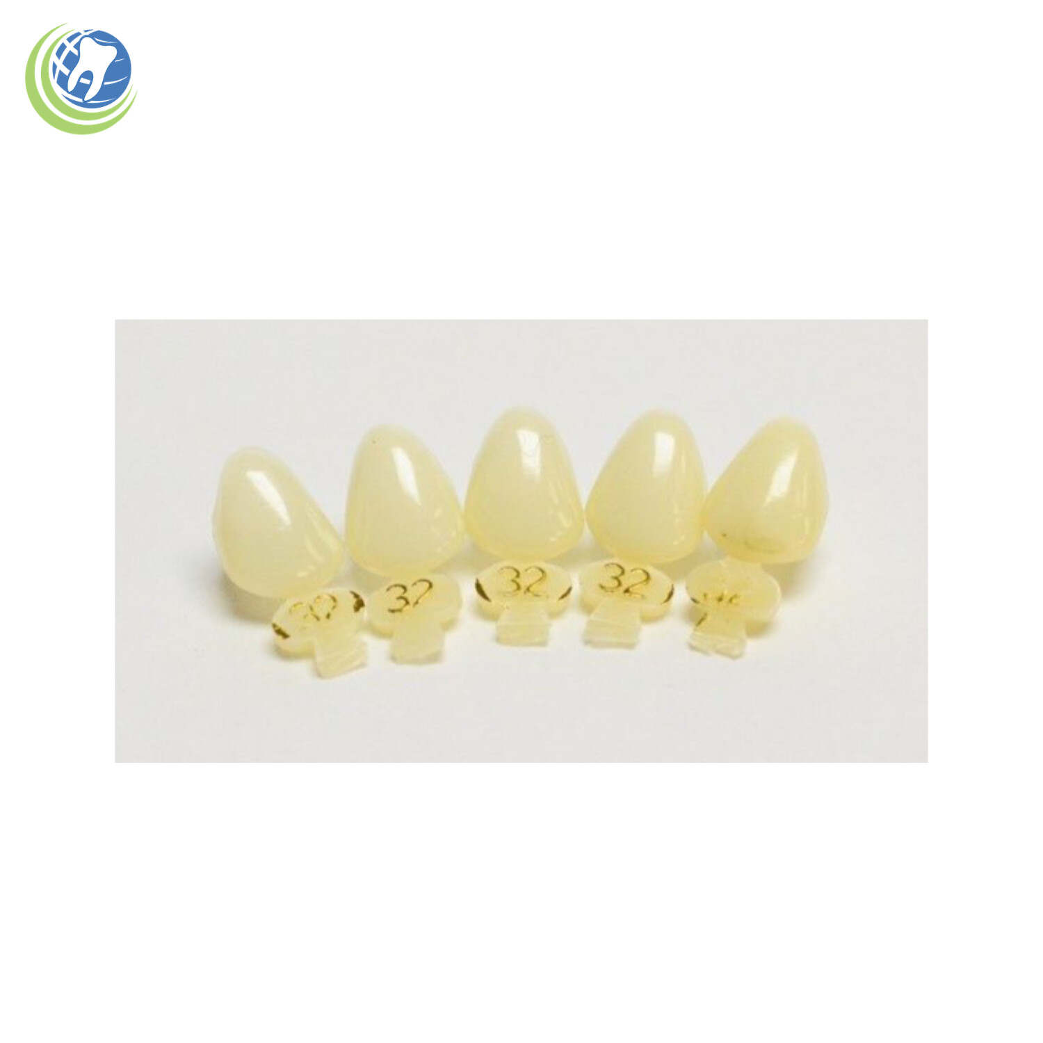 Tooth #6 or #27 Upper or Lower Right Cuspid Polycarbonate Crowns Cap Refills