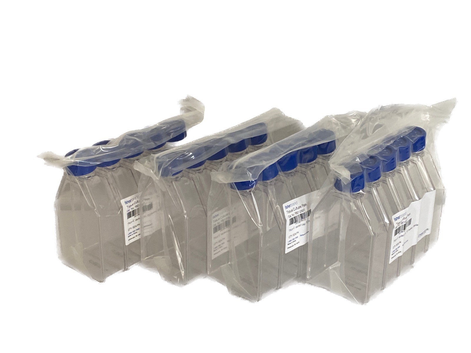 (20) FISHERBRAND 75cm2 TC Treated Culture Flasks w/ Vented Caps FB012937